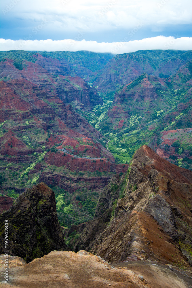 Fototapeta premium Kauai island