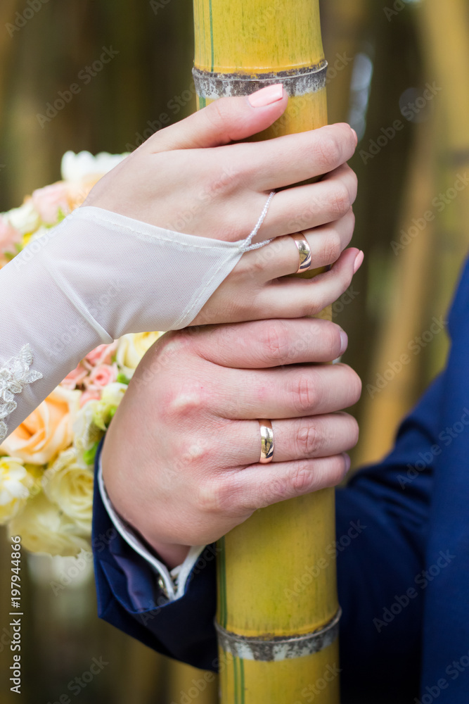 Couple holding hands with wedding rings