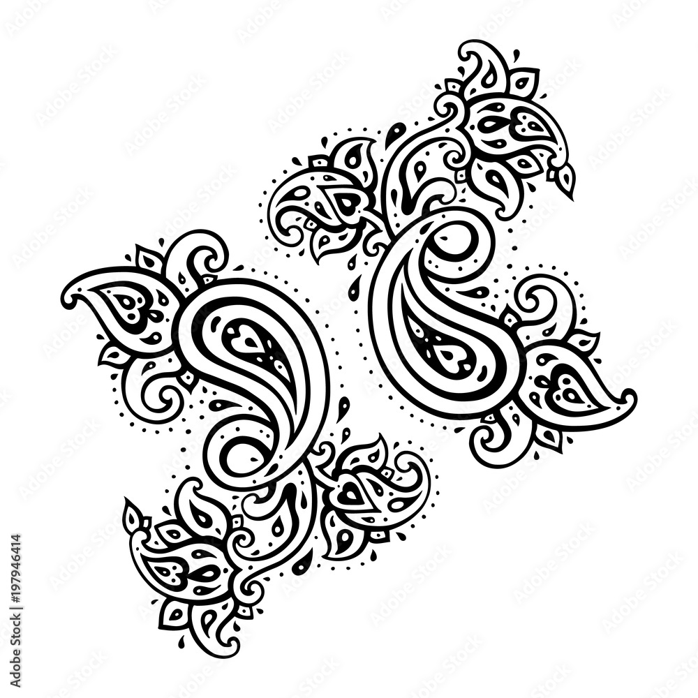 Paisley. Ethnic ornament. Vector hand drawn elements Paisley. Ethnic ornament. Vector hand drawn elements