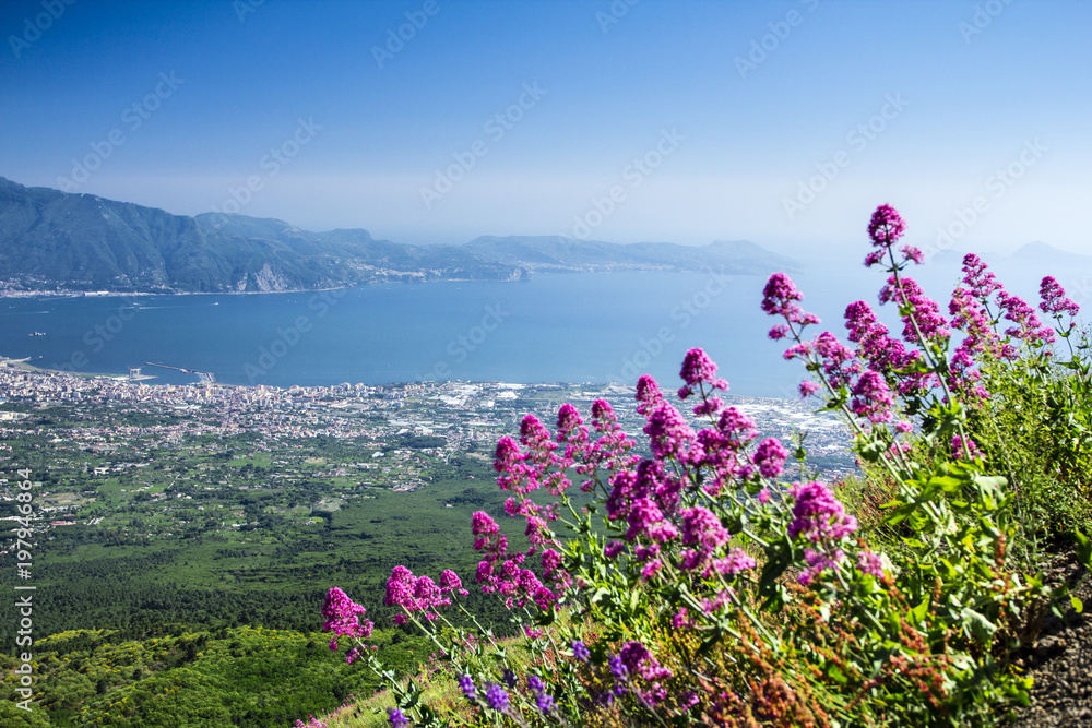 Obraz premium View from Mount Vesuvius