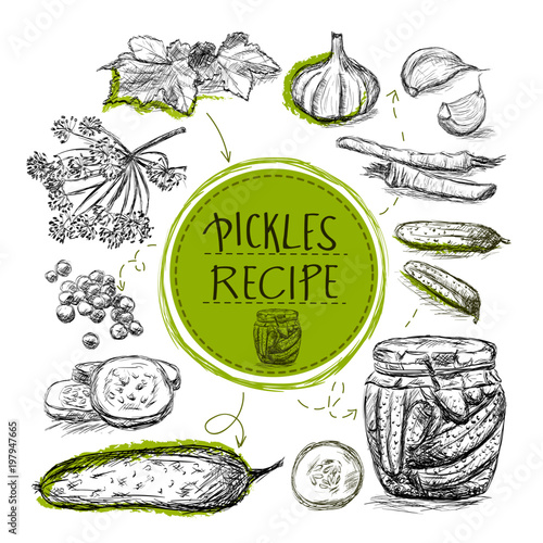 Sketch object  marinade pickles recipe