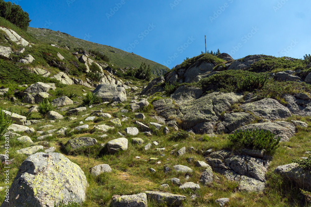 Fototapeta premium Landscape of Begovitsa River Valley and Yalovarnika peak, Pirin Mountain, Bulgaria