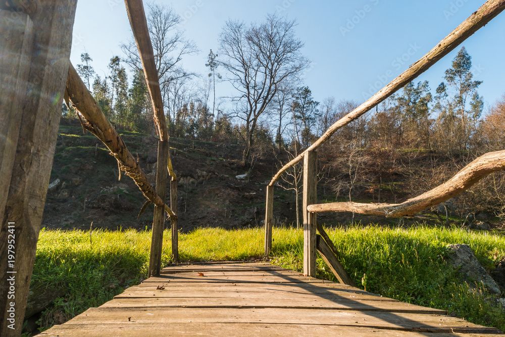 Fototapeta premium Pedestrian wooden bridge