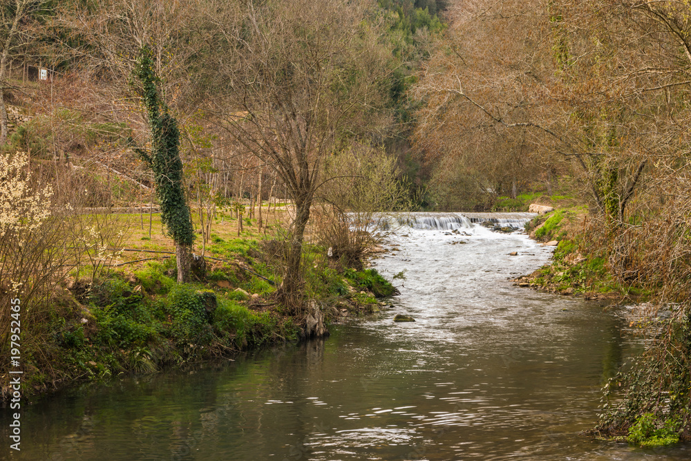 River stream in Portugal