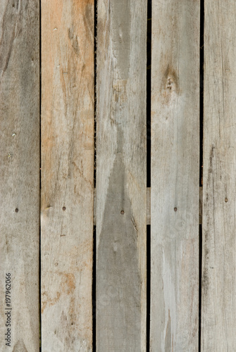 wood texture, textura de madeira, madeira, wood, wood light, madeira clara, parede de madeira, wood