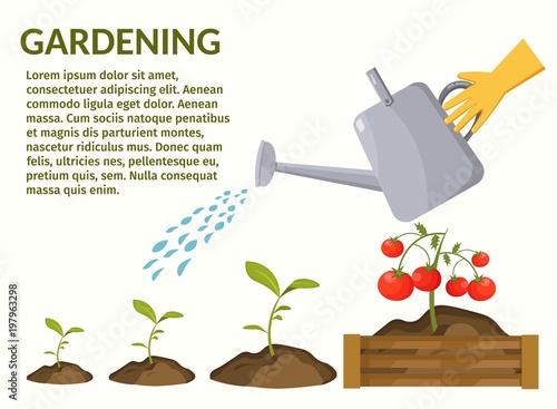 Gardening cartoon background vector colorful harvest set © borodatch