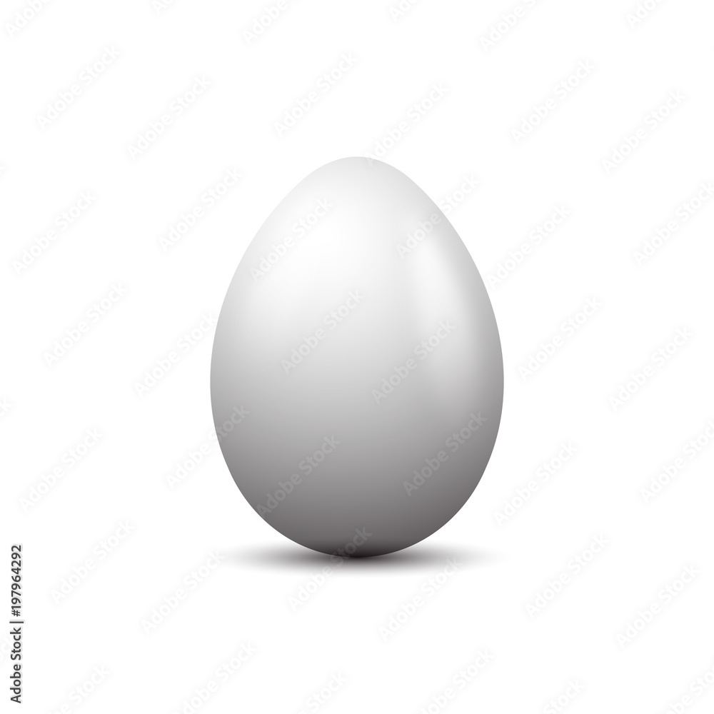 white Easter Eggs vector white Easter Eggs vector