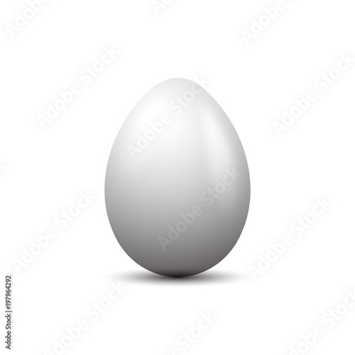 white Easter Eggs vector