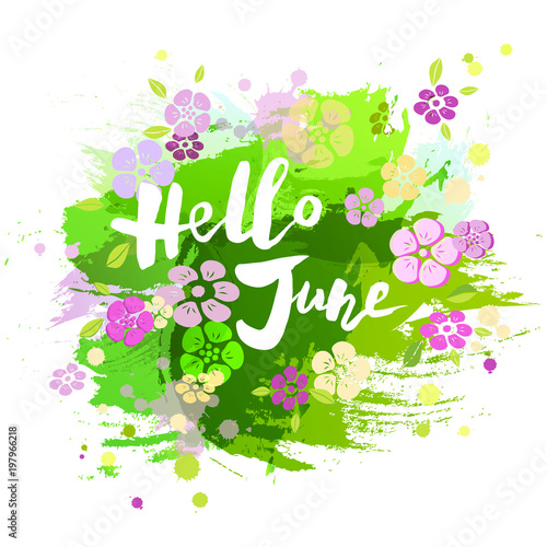 Handwritten lettering Hello June isolated on watercolor painting imitation background. Lettering for Warm Season card, art shop, logo, badge, postcard, poster, banner, web. Vector illustration.