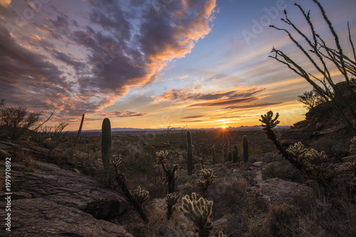 Colorful Arizona Sunset
