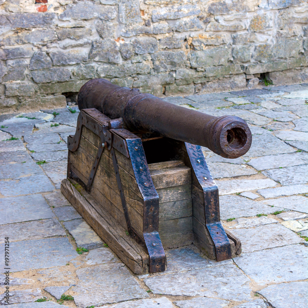 Photo of ancient cannon in castle in Kamyanets-Podilsky