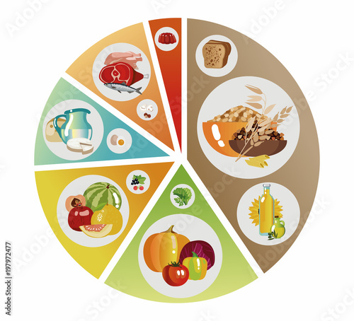 Food pyramid of  pie chart