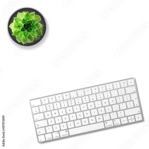 Computer keyboard and succulent flower isolated on white background. Top view with copy space. Flat lay. Vector illustration.