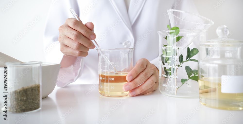 the scientist,doctor, make alternative herb medicine with herbal the organic natural in the laboratory. oil capsule, natural organic skincare and cosmetic. the scientist,doctor, make alternative herb medicine with herbal the organic natural in the laboratory. oil capsule, natural organic skincare and cosmetic.