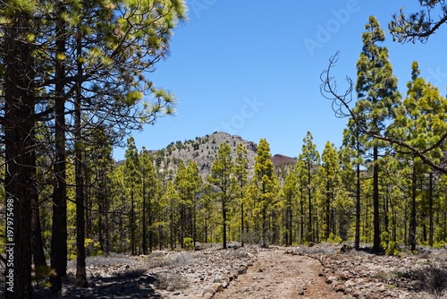 Teneriffa - Pasaje Lunar Wanderweg von Vilaflor photo