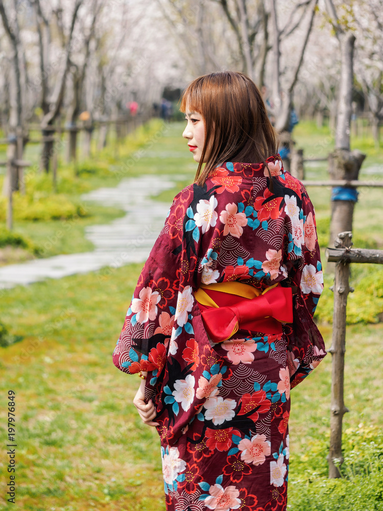 Attractive asian woman wearing kimono in cherry blossom forest in spring.