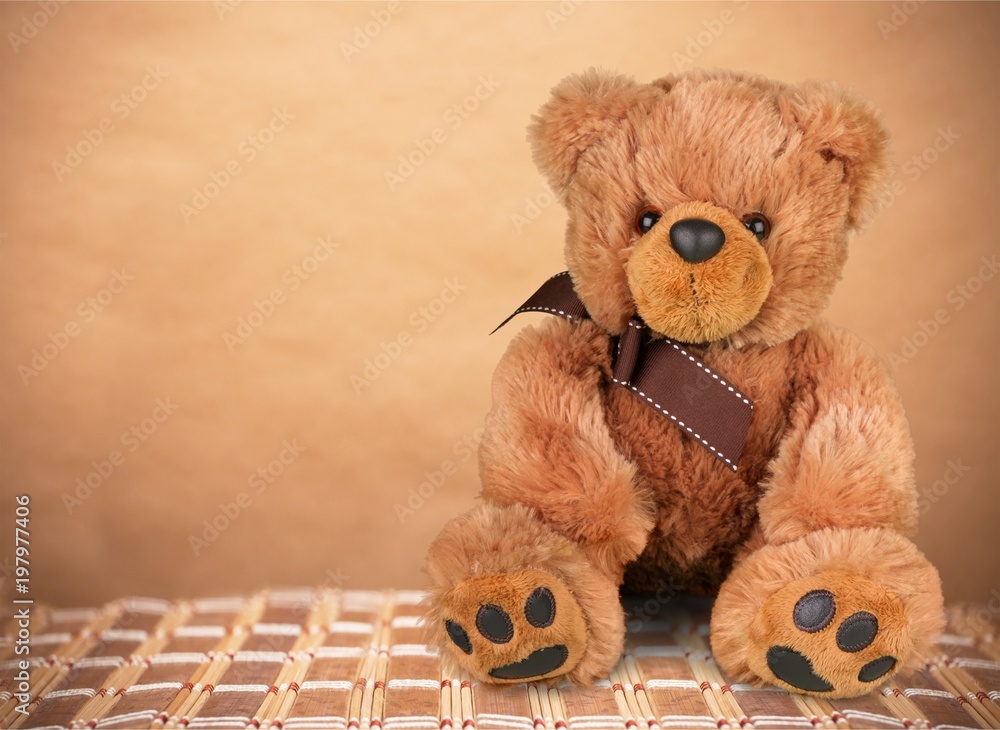 Obraz premium Animal.