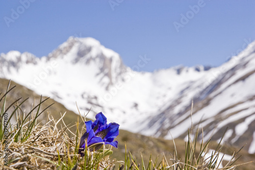 Frühling in den Bergen Südtirols
