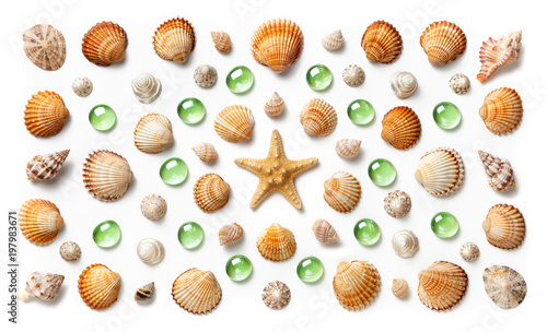 Pattern made of shells, starfish and green glass beads isolated on white background
