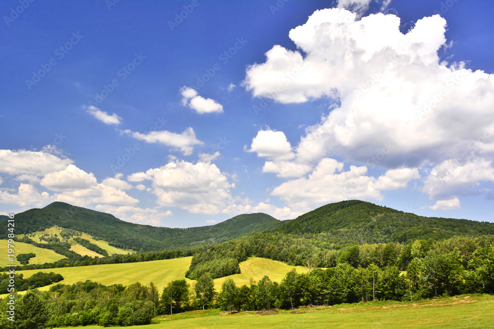 Summer mountain landscape with green field against a blue sky with clouds