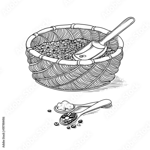 Vector sketch wicker basket with grain and shovel iIllustration black and white of ingraving style. Harvesting and processing of coffee beans.