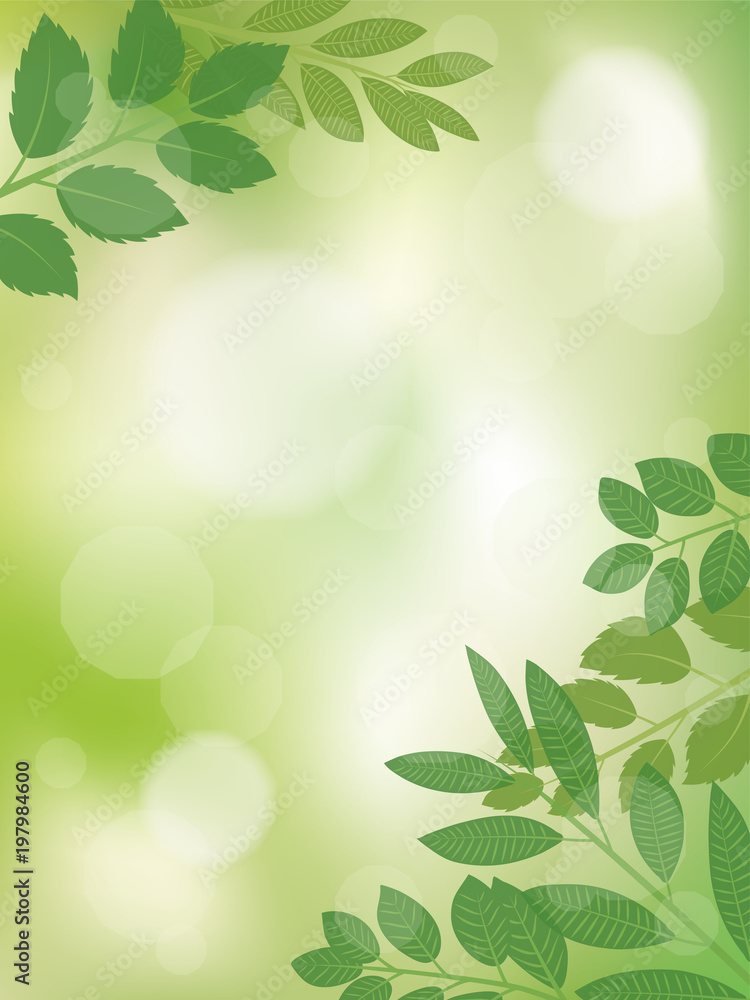 Naklejka premium 新緑 リーフのフレーム素材 