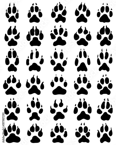 Black print of dogs paws on white background, vector