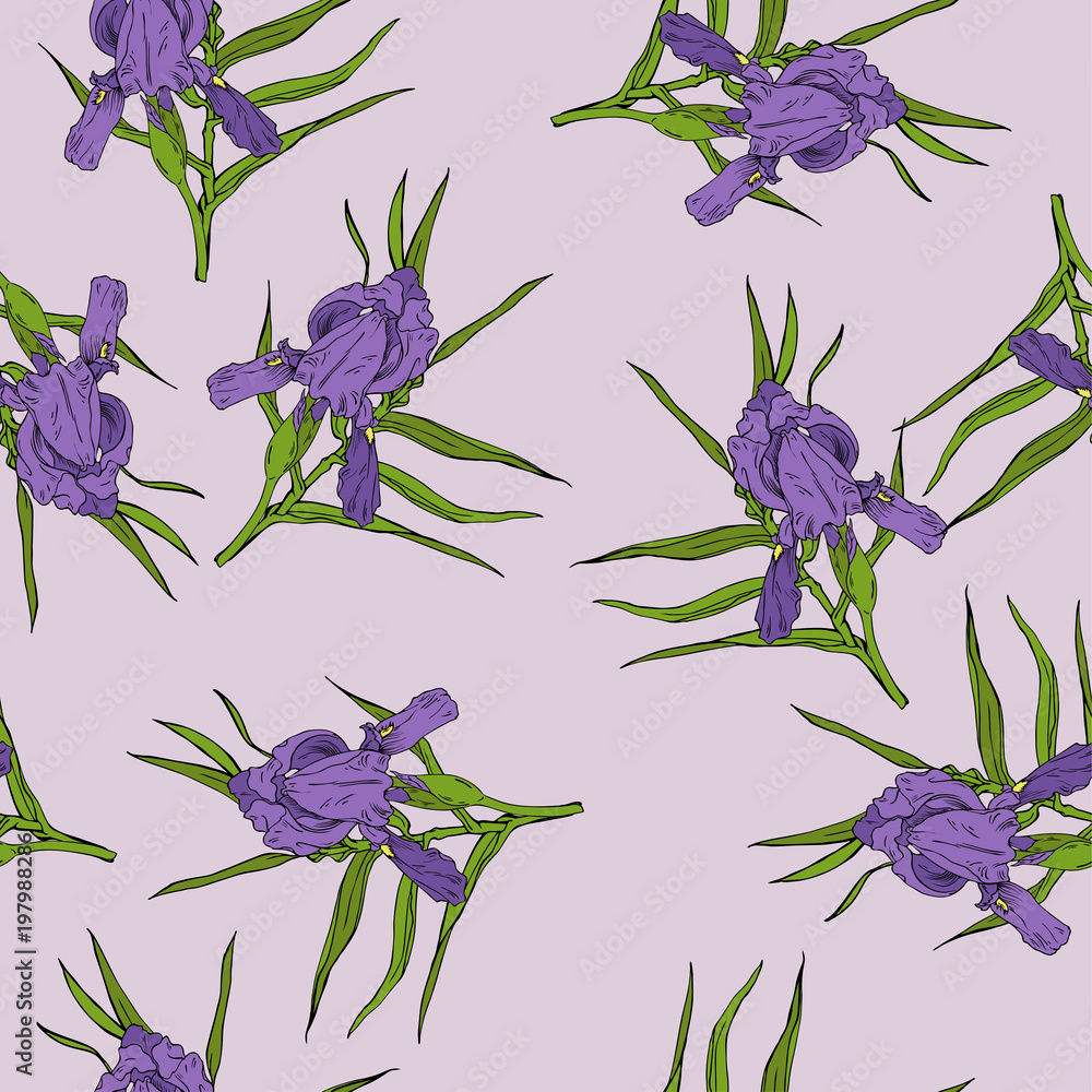 Seamless pattern with fleur de lis violet flowers and green leaves on pastel  lilac background. Hand drawn vector illustration. Stock Vector | Adobe Stock