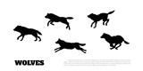Black silhouettes of flock of wolves on a white background. .Running predators. Forest animals