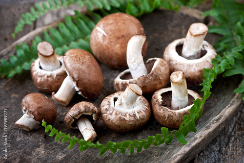 Champignon mushrooms , close-up selective focus,