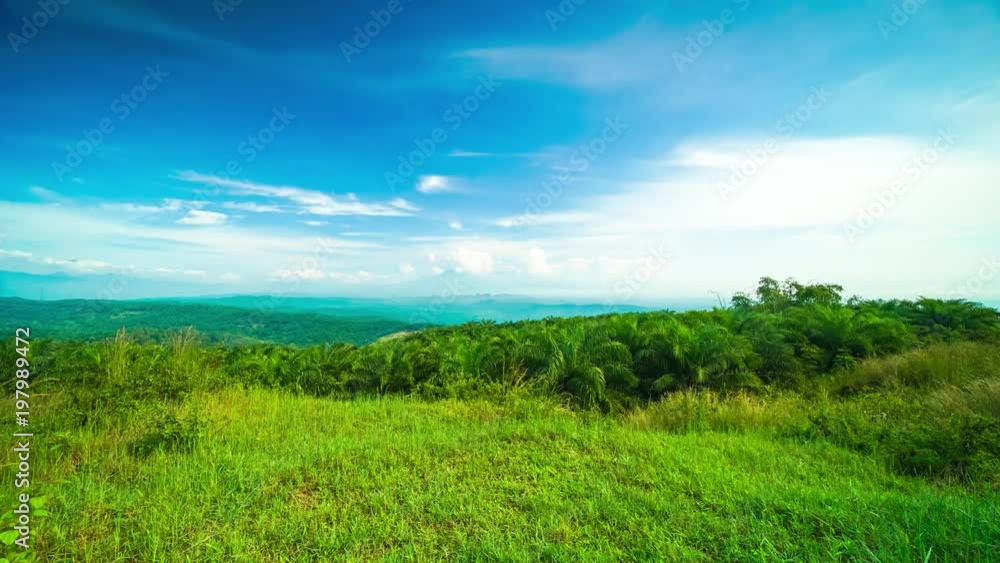 Time lapse of beautiful landscape of palm oil plantation with moving clouds at Sukabumi, West Java, Indonesia. Shot in 4k resolution Time lapse of beautiful landscape of palm oil plantation with moving clouds at Sukabumi, West Java, Indonesia. Shot in 4k resolution