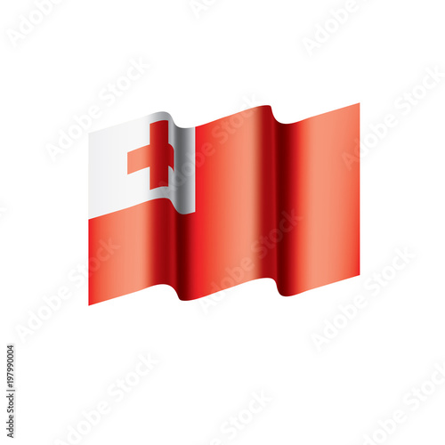 Free Download Tonga flag, vector illustration - GFXLoad