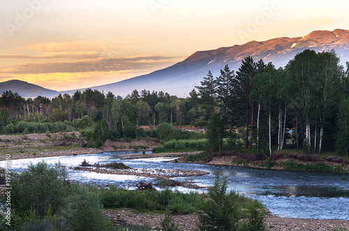 Mountain river and forest trees on the sunset, Altai Mountains, Kazakhstan