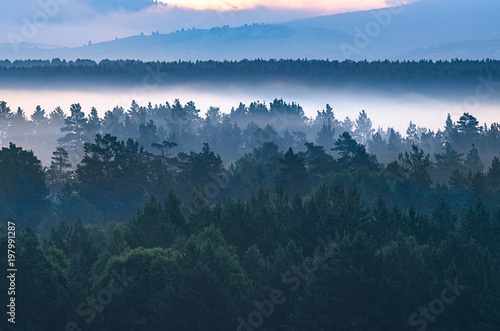 Dramatic sunrise in the mountains with thick evergreen forest in foreground, Altai Mountains, Kazakhstan