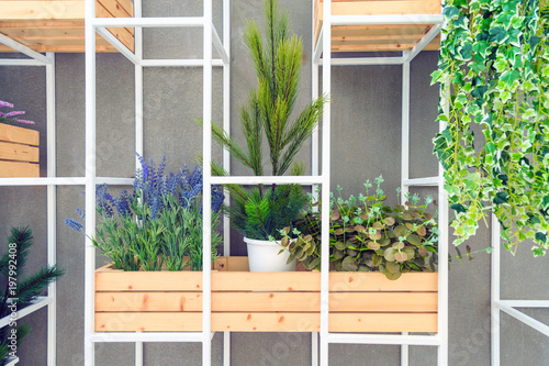 Ornamental plants on steel shelf in backyard.