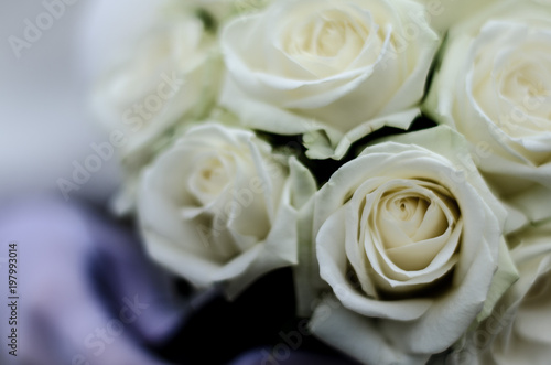 wedding bouquet for a bride from white roses