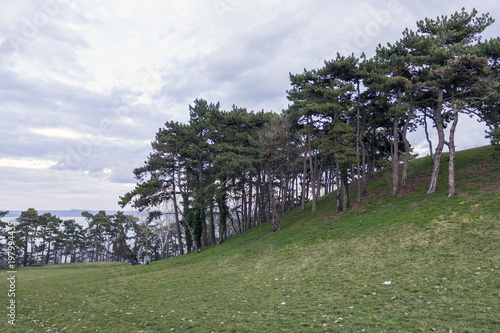 Hills in Balatonboglar photo