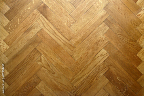 Floor with natural oak trees as a natural texture background 
