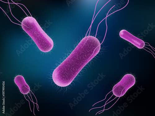 Vector illustration of Salmonella Bacteria for medicine concept