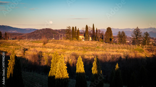 Sunset in the vineyards of Rosazzo