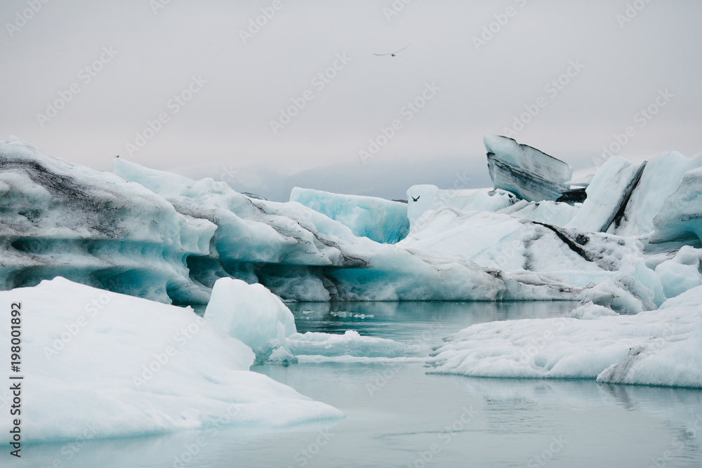 spectacular icelandic landscape with white and blue icebergs at cloudy day, Iceland, Jokulsarlon lagoon