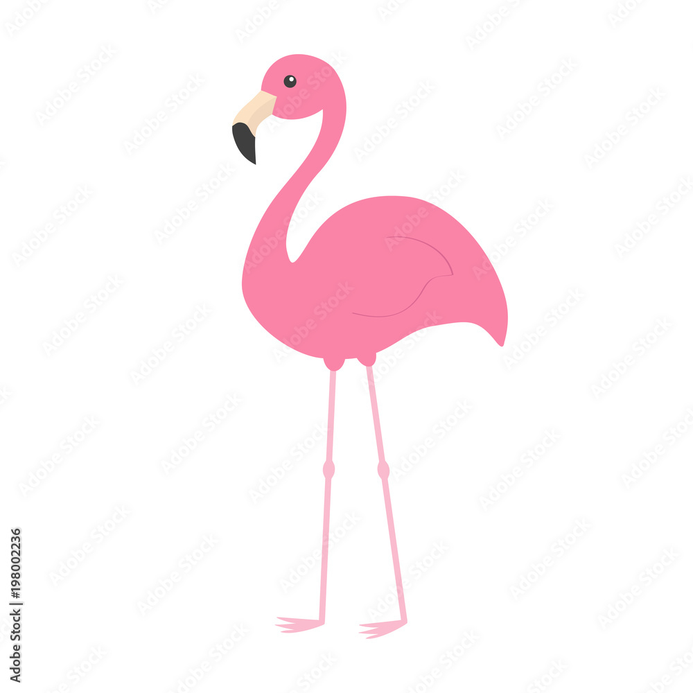 Fototapeta premium Pink flamingo with wing. Exotic tropical bird. Zoo animal collection. Cute cartoon character. Decoration element. Flat design. White background. Isolated.