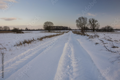 Dirt road and snow-covered meadows © darekb22