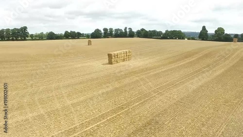 Cornfield and landscape in Ireland