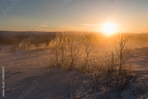 majestic snow-covered icelandic landscape with bare trees and bushes at sunset