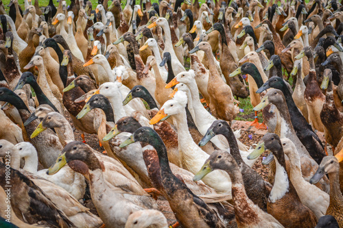 Cape Town, South Africa