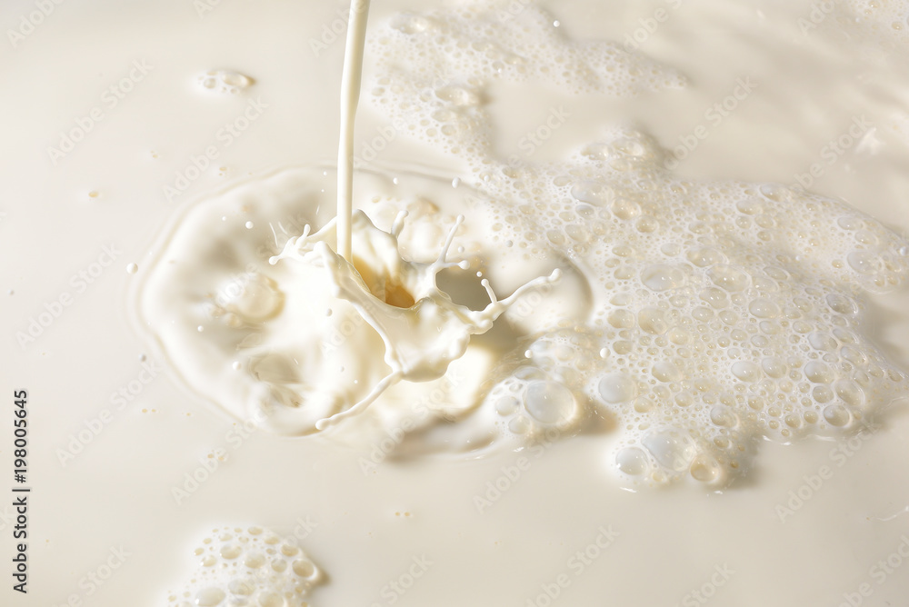 Stream of milk poured on milk background and splashing drops Stream of milk poured on milk background and splashing drops