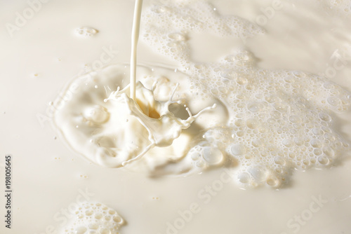 Stream of milk poured on milk background and splashing drops