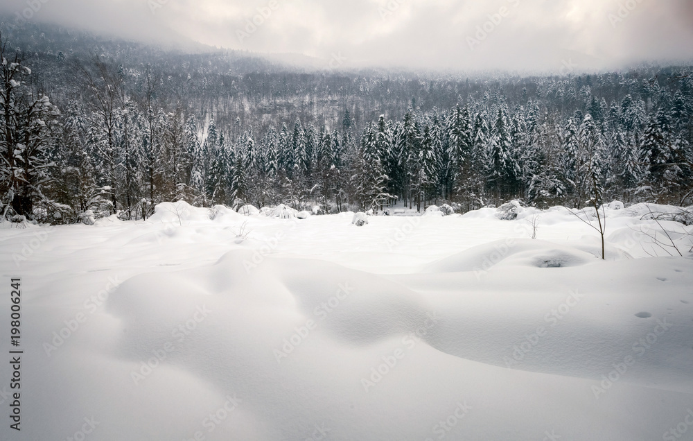 Winter landscape, snowy mountains