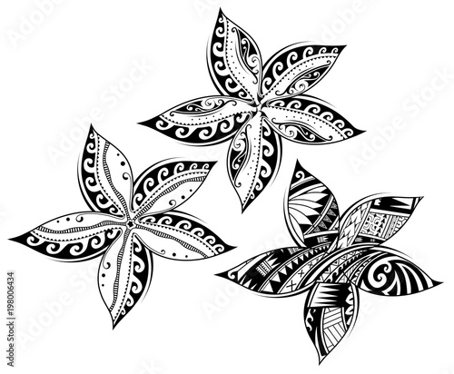 Plumeria flower as tribal style tattoo